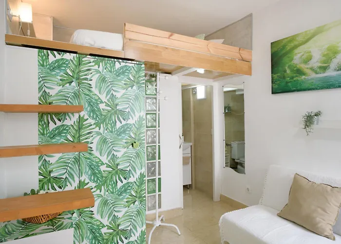 Appartement Vista Blanca 6